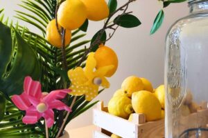 evento-empresa-comercial-puesto-de-limonada-3 Evento Puesto de limonada en empresa y en evento comercial