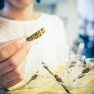 evento-degustacion-de-insectos-7 Evento Degustación de Insectos